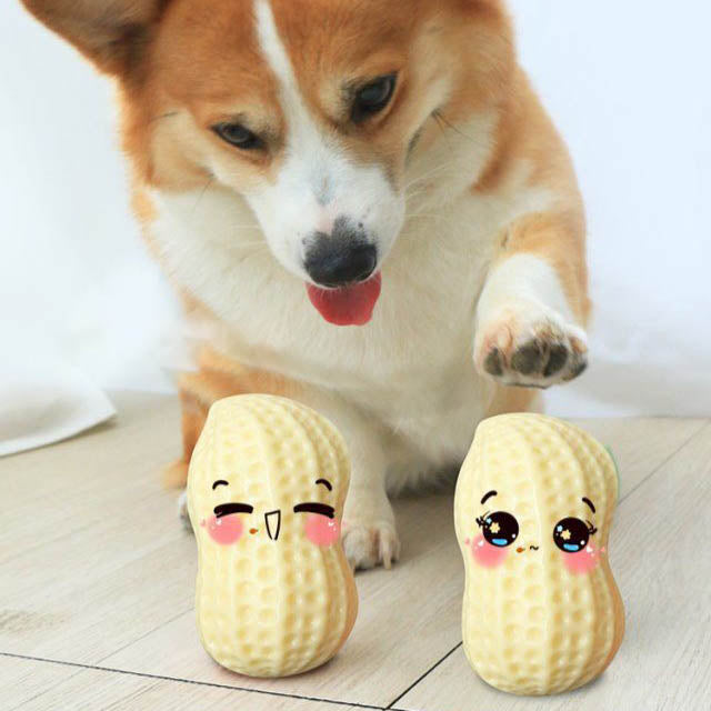Enhance Playtime with Our Funny Pet Dog Squeaky Toys